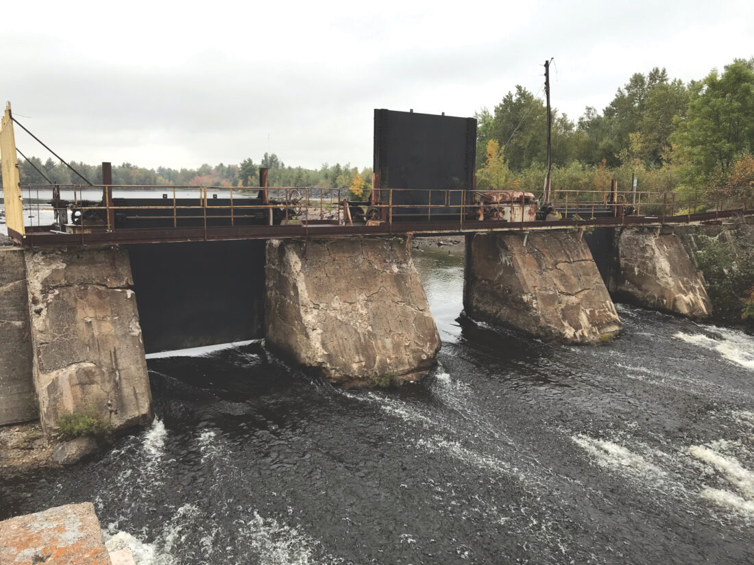 DNR awarding over $1.7M in grants for conservation projects | News, Sports, Jobs - Vimarsana News